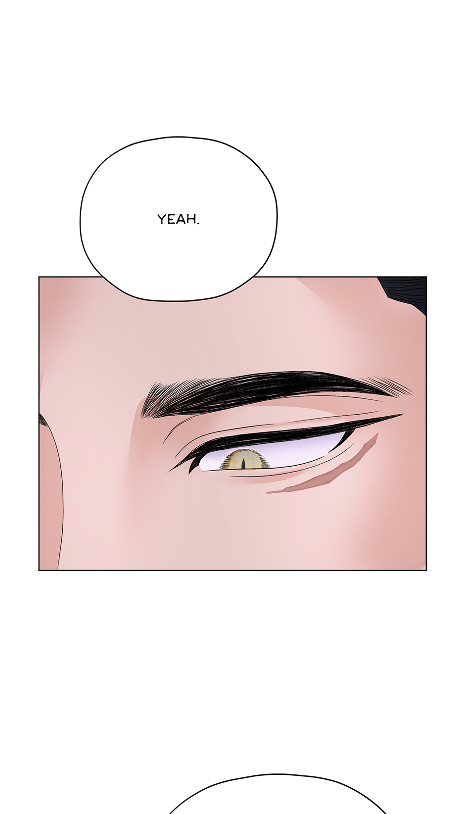 Cradle of the Tiger (Mature) [Official] - 22. Nice manhwa