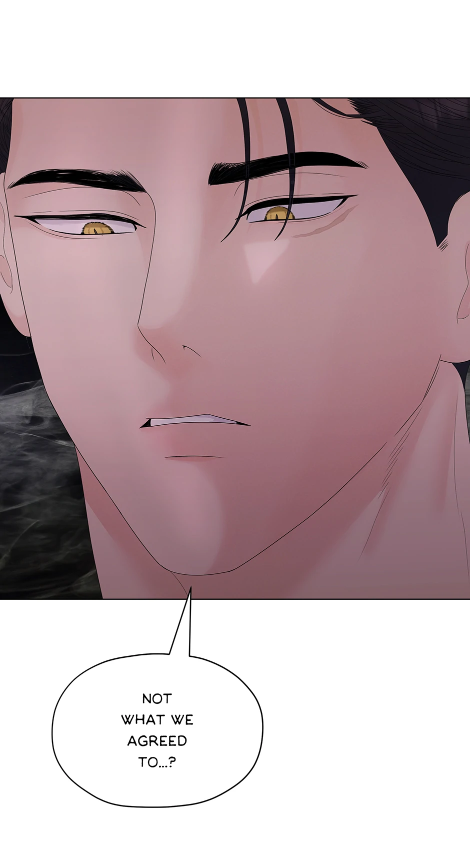 Cradle of the Tiger (Mature) [Official] - 3. Not the Agreement manhwa