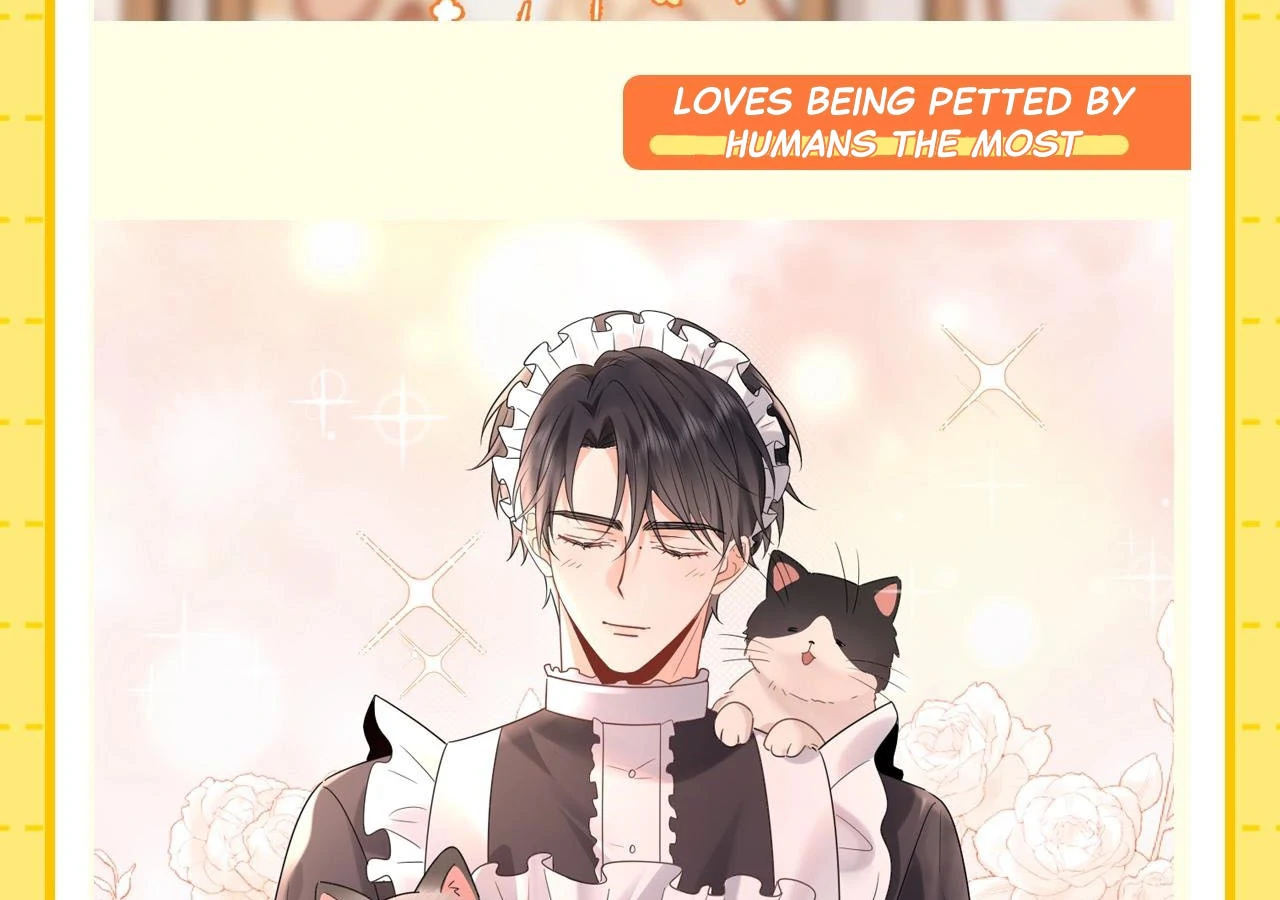 Spreading Rumors is Strictly Forbidden - Special Feature 1 manhwa