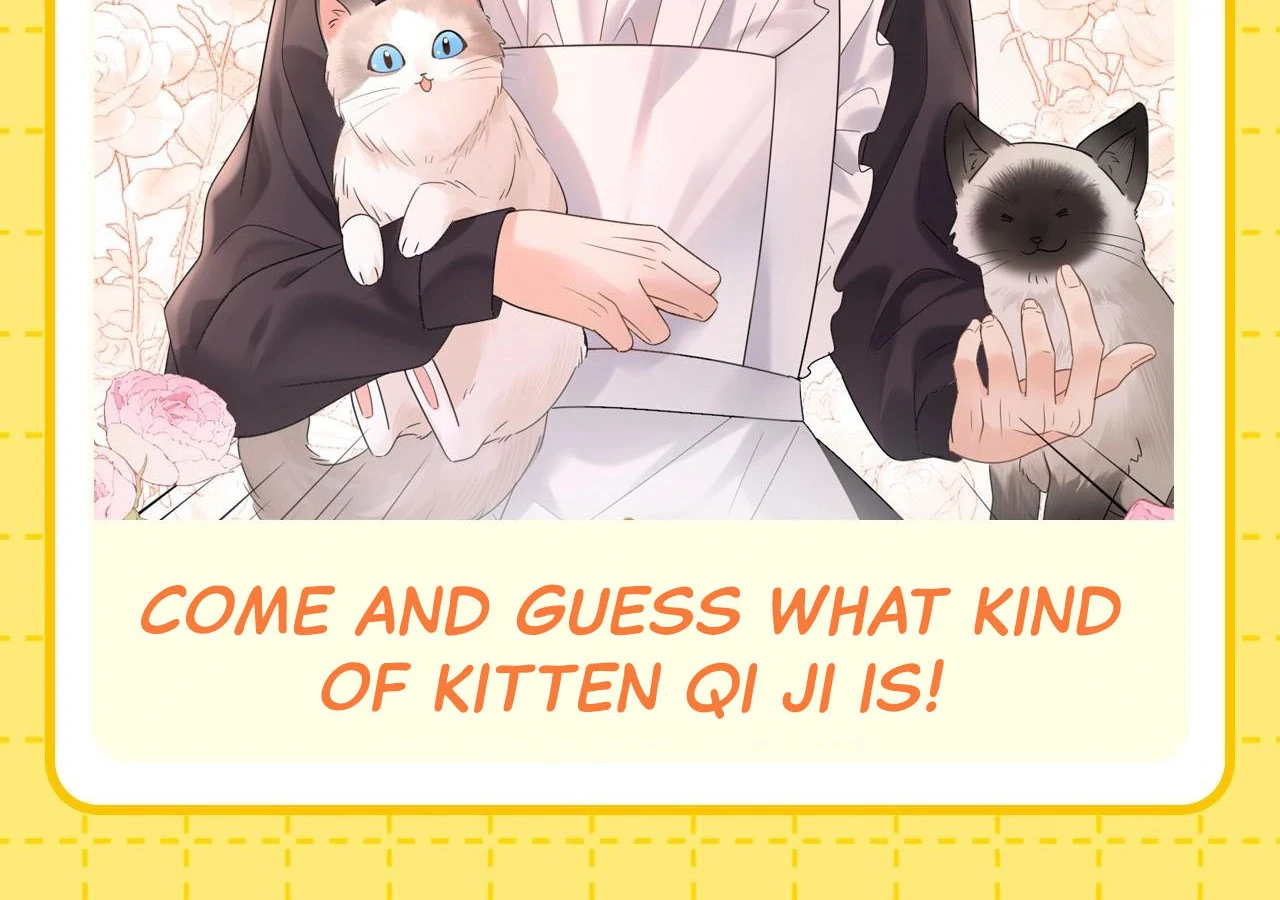 Spreading Rumors is Strictly Forbidden - Special Feature 1 manhwa