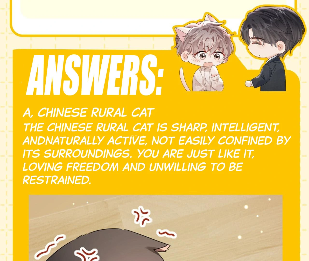 Spreading Rumors is Strictly Forbidden - Special Feature 6 manhwa