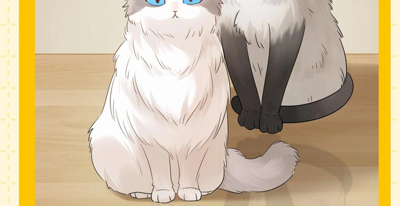 Spreading Rumors is Strictly Forbidden - Special Feature 6 manhwa