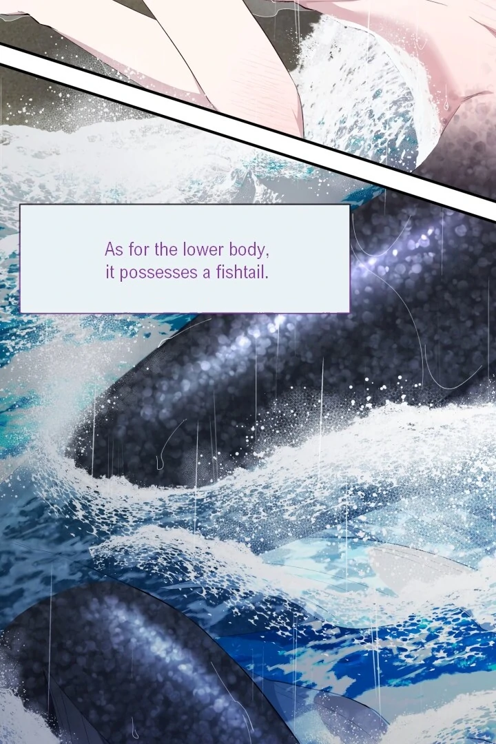 Aqua Feeling - Chapter 0 manhwa