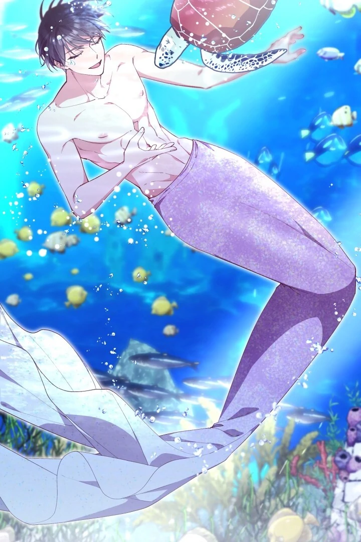 Aqua Feeling - Chapter 1 manhwa