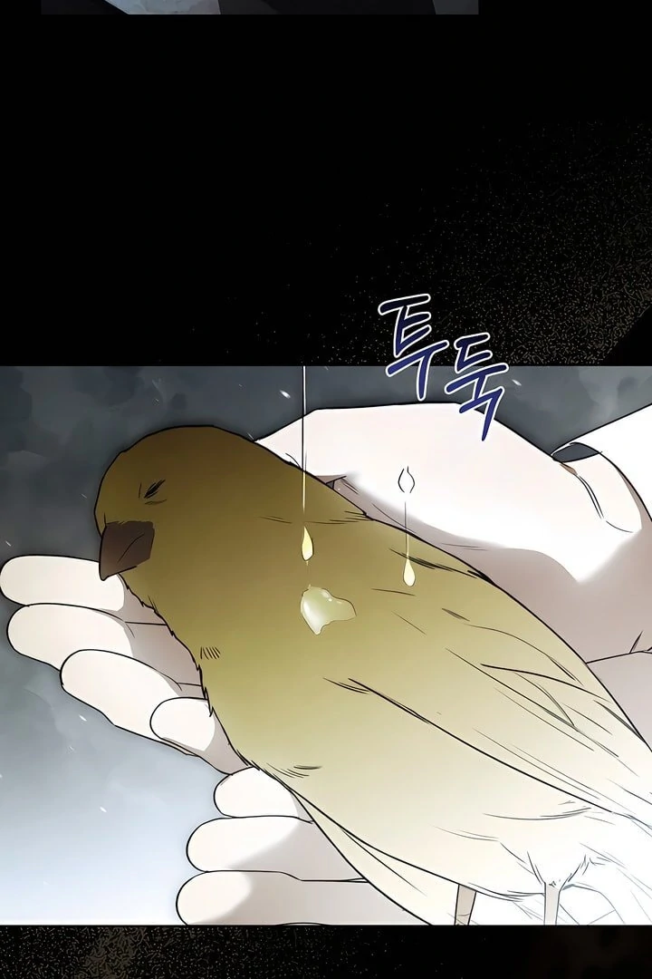 Kiss Me If You Can [Official][Uncensored] - Chapter 23 manhwa