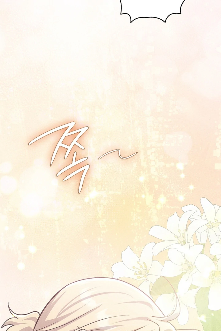 I’m Not Your Fated Guide But… [Kaizen Scan] - Chapter 14 manhwa
