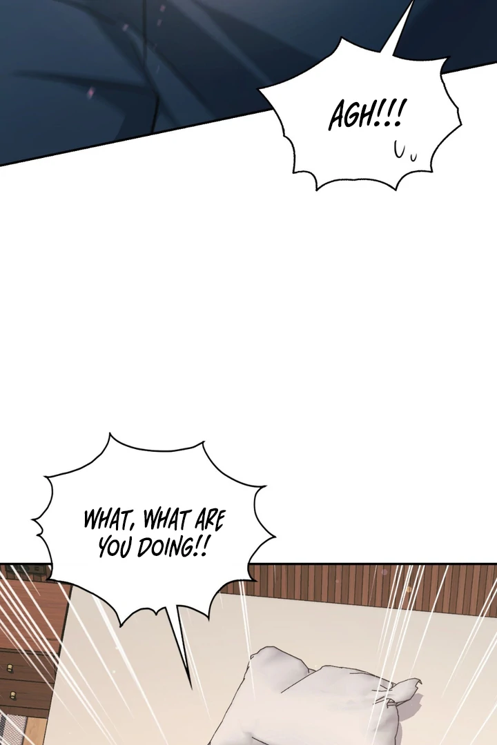I’m Not Your Fated Guide But… [Kaizen Scan] - Chapter 16 manhwa