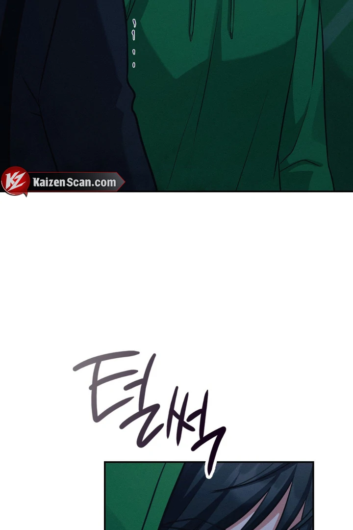 I’m Not Your Fated Guide But… [Kaizen Scan] - Chapter 17 manhwa