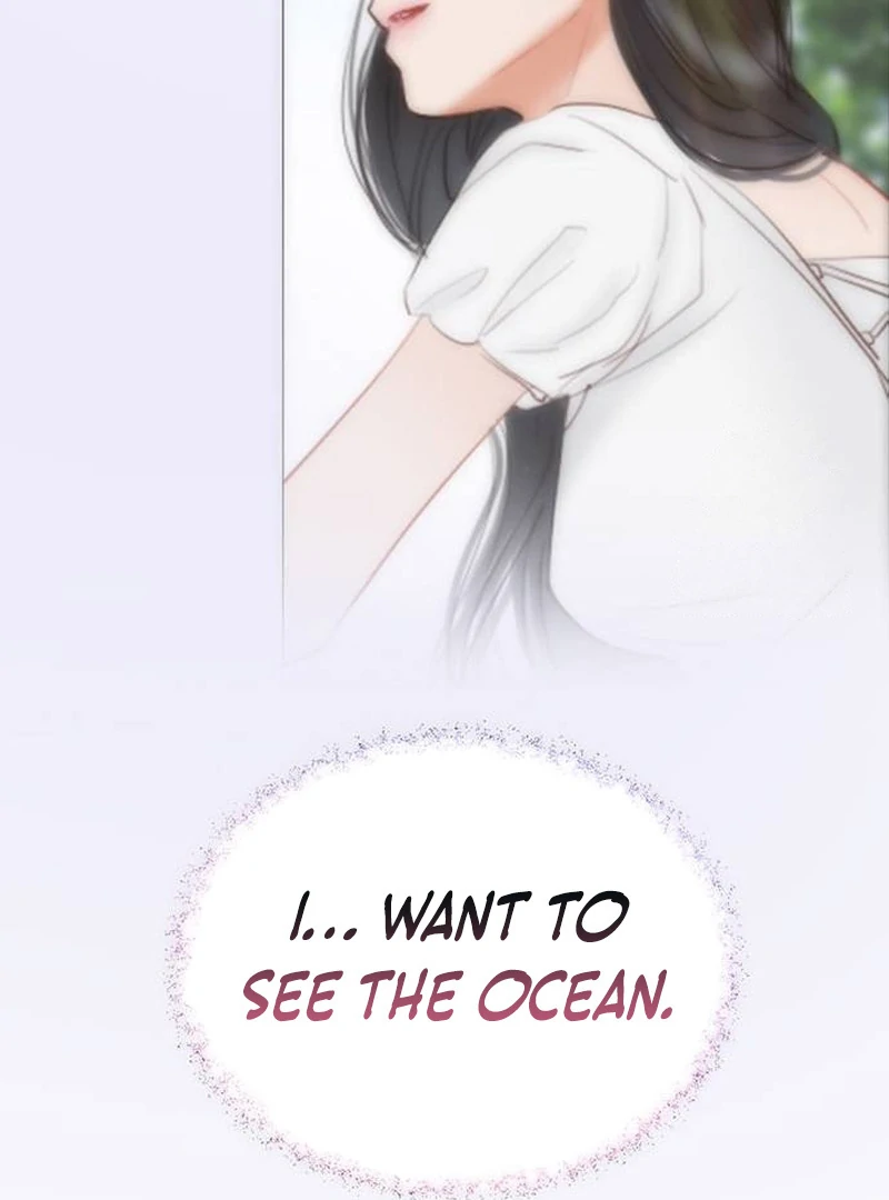 Serena S2 [Violet Scans] - Chapter 95 manhwa