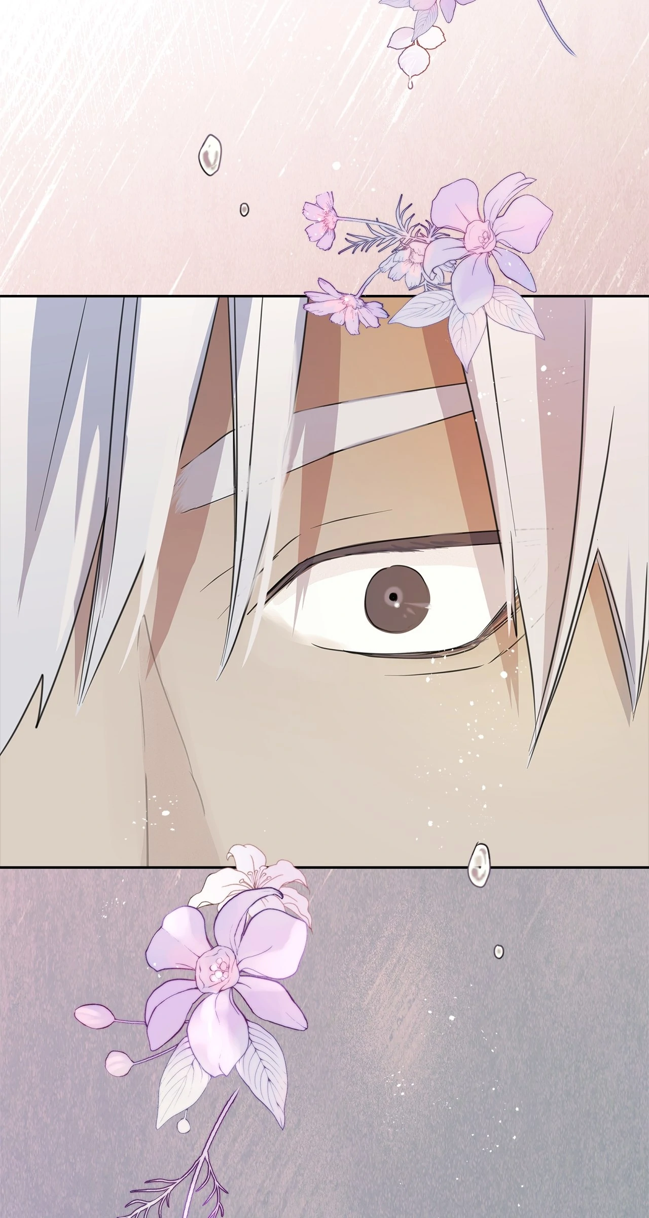Bloody Moon [Official] - Chapter 8 manhwa