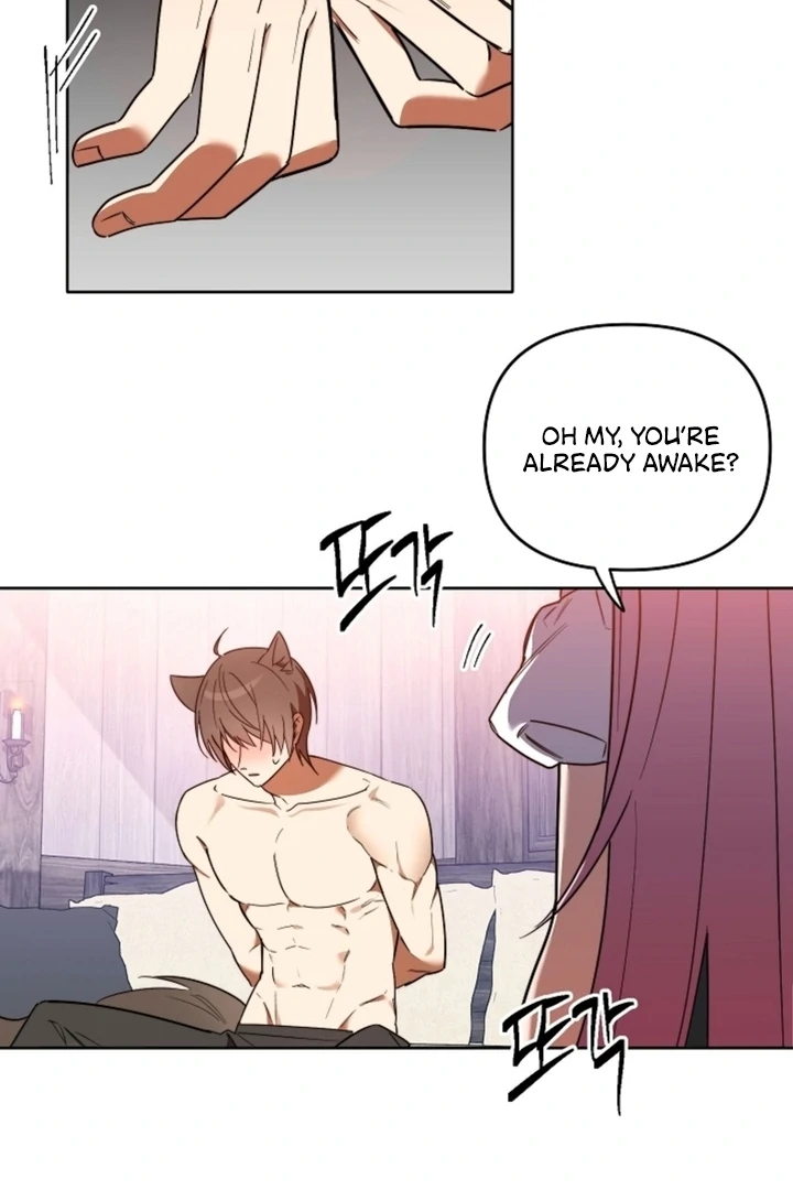 Little Red Riding Hood Wants to Eat the Wolf! [+19] [Luna Toons] - Chapter 01 - S1 manhwa
