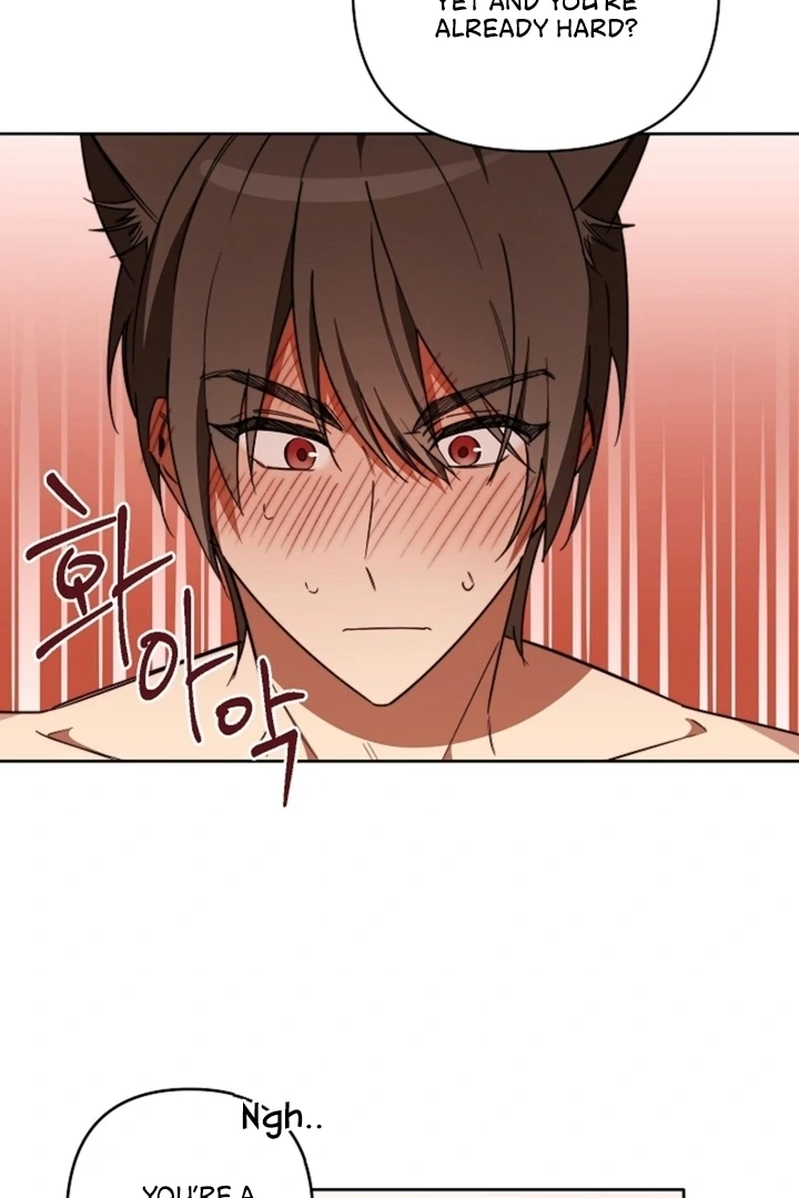 Little Red Riding Hood Wants to Eat the Wolf! [+19] [Luna Toons] - Chapter 01 - S1 manhwa