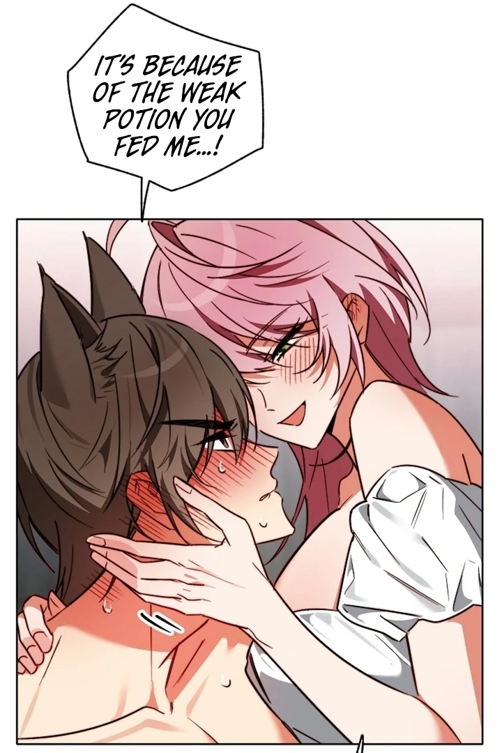 Little Red Riding Hood Wants to Eat the Wolf! [+19] [Luna Toons] - Chapter 02 - S1 manhwa