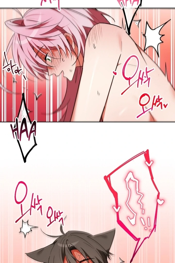 Little Red Riding Hood Wants to Eat the Wolf! [+19] [Luna Toons] - Chapter 03 - S1 manhwa