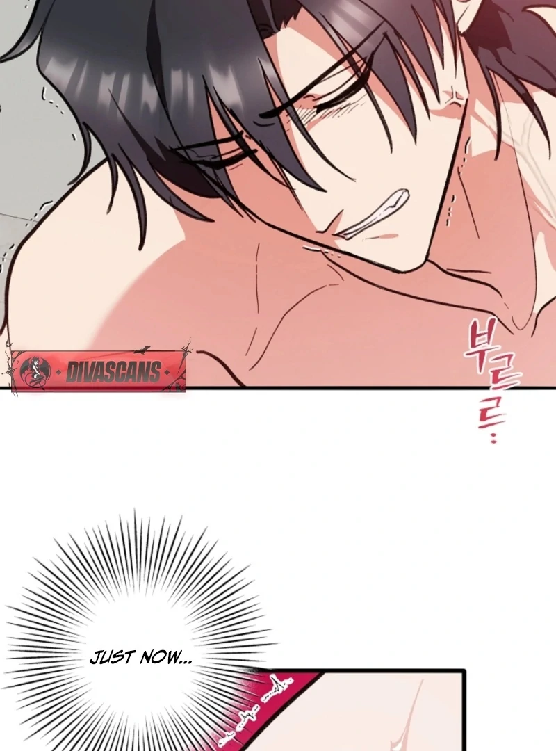 You’re More Dangerous Than the Anomaly (Diva Scans) - Chapter 3 manhwa