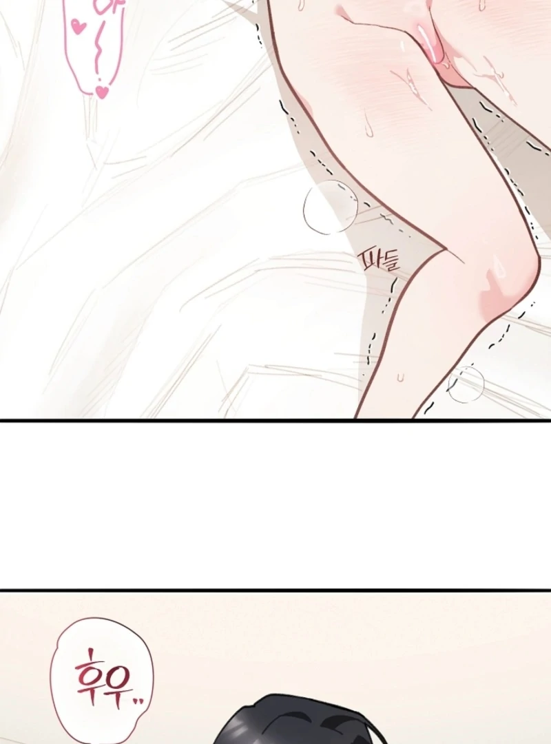 You’re More Dangerous Than the Anomaly (Diva Scans) - Chapter 3 manhwa