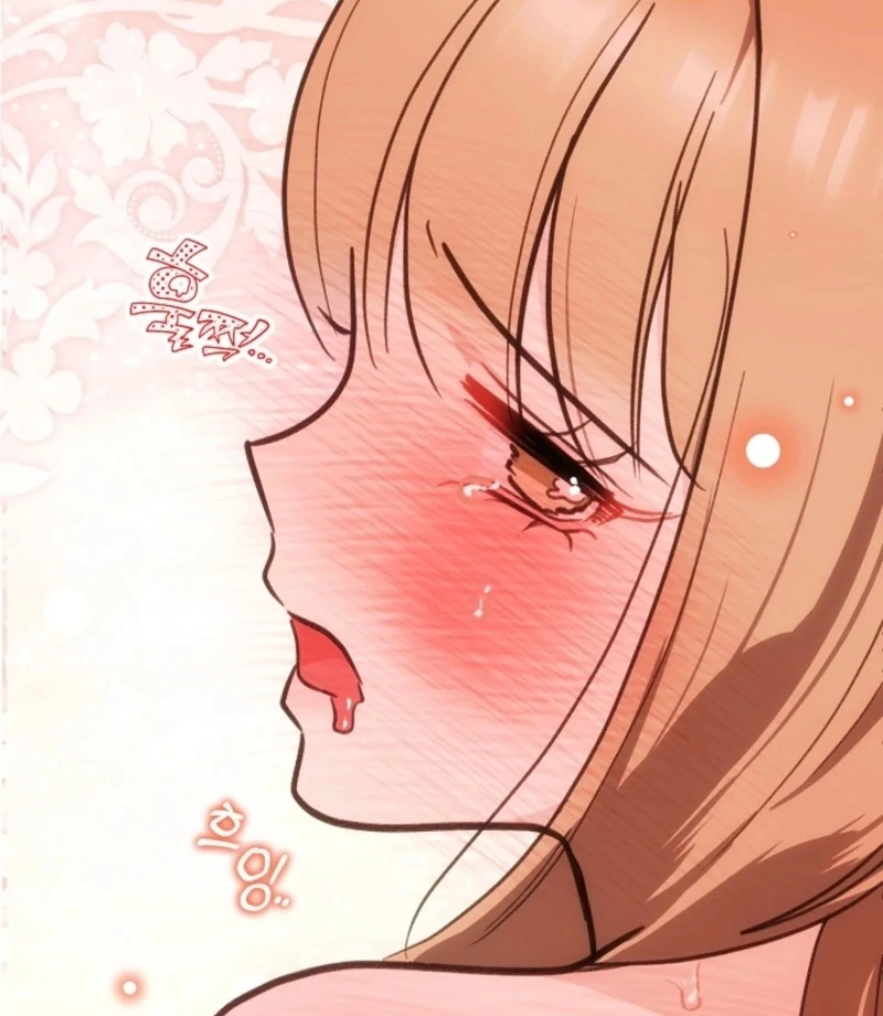 You’re More Dangerous Than the Anomaly (Diva Scans) - Chapter 4 manhwa