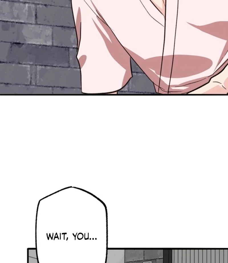 You’re More Dangerous Than the Anomaly (Diva Scans) - Chapter 5 manhwa