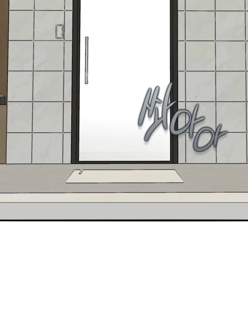 You’re More Dangerous Than the Anomaly (Diva Scans) - Chapter 5 manhwa
