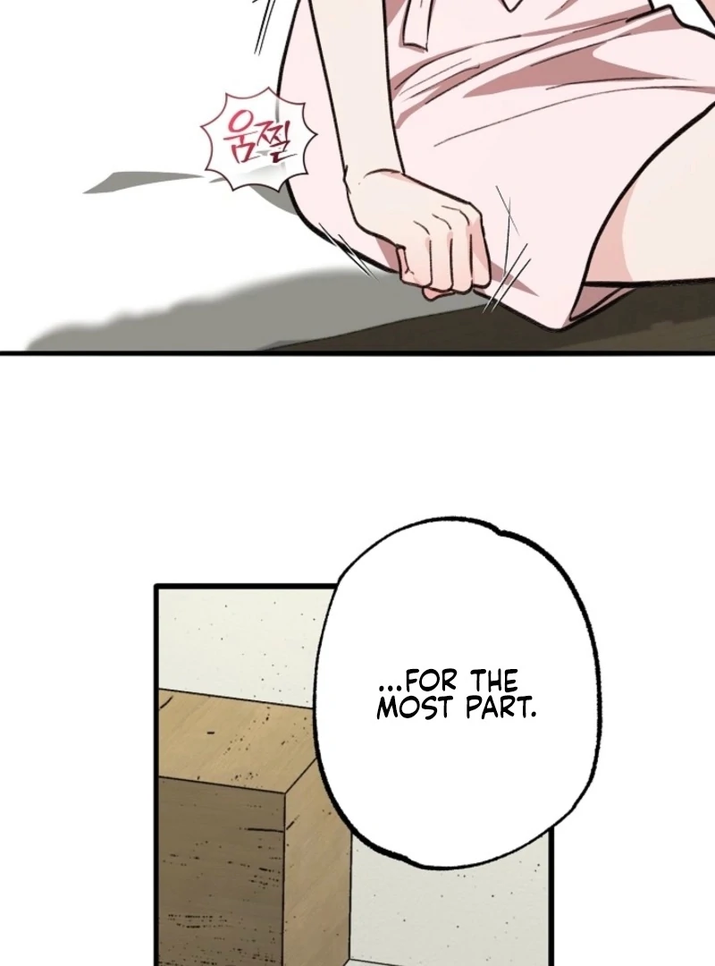 You’re More Dangerous Than the Anomaly (Diva Scans) - Chapter 5 manhwa