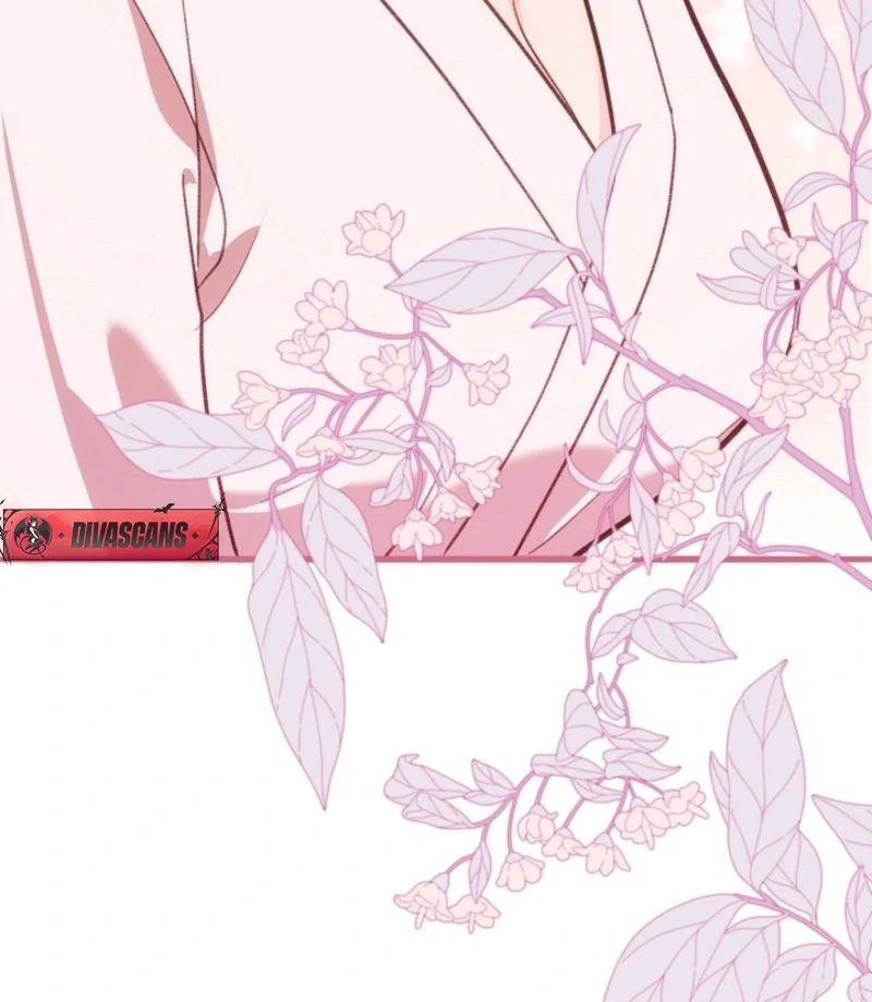 You’re More Dangerous Than the Anomaly (Diva Scans) - Chapter 5 manhwa