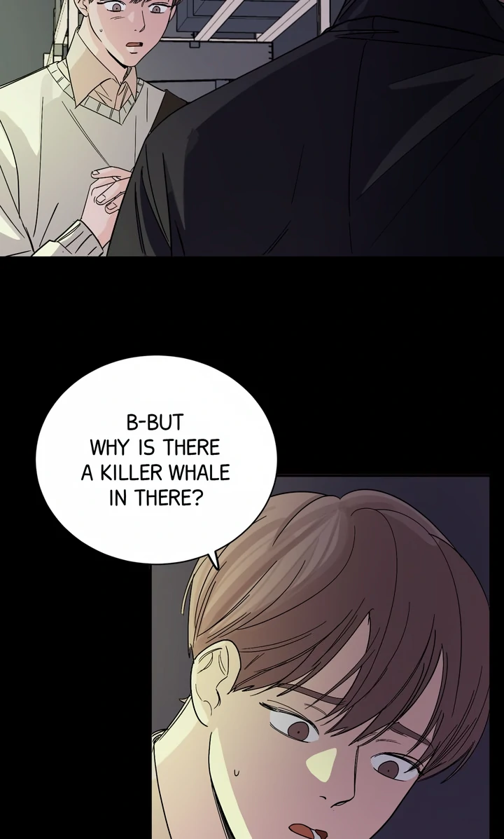 Killer Whale Protocol [Official] - Episode 1 manhwa