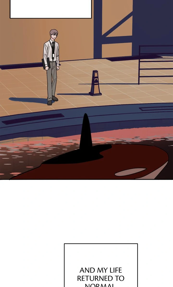 Killer Whale Protocol [Official] - Episode 11 manhwa
