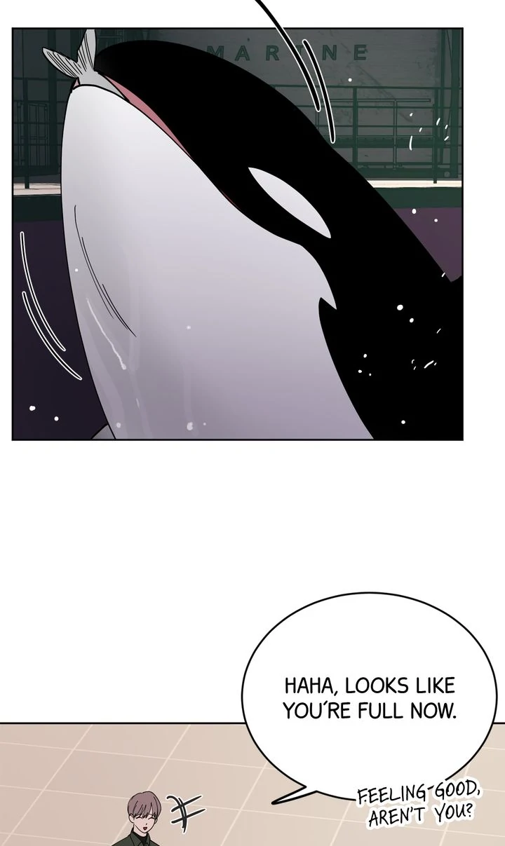 Killer Whale Protocol [Official] - Episode 5 manhwa
