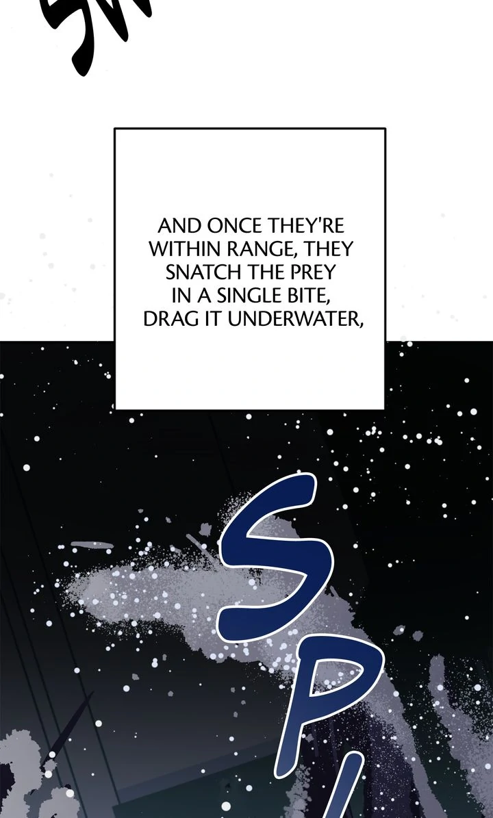 Killer Whale Protocol [Official] - Episode 9 manhwa
