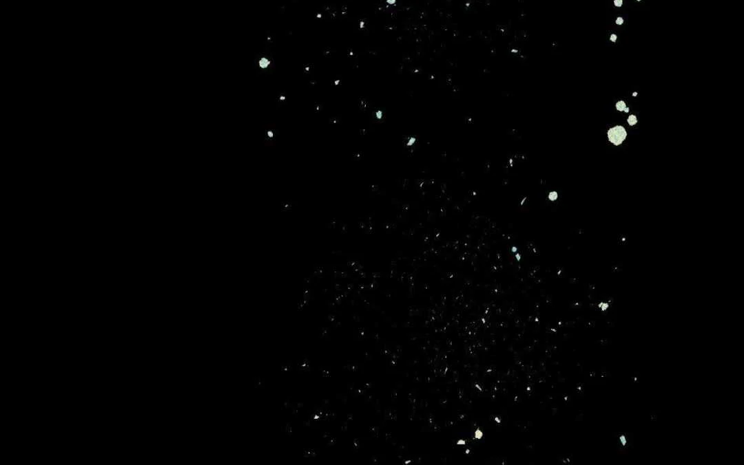 Lian Shi - Chapter 10 manhwa