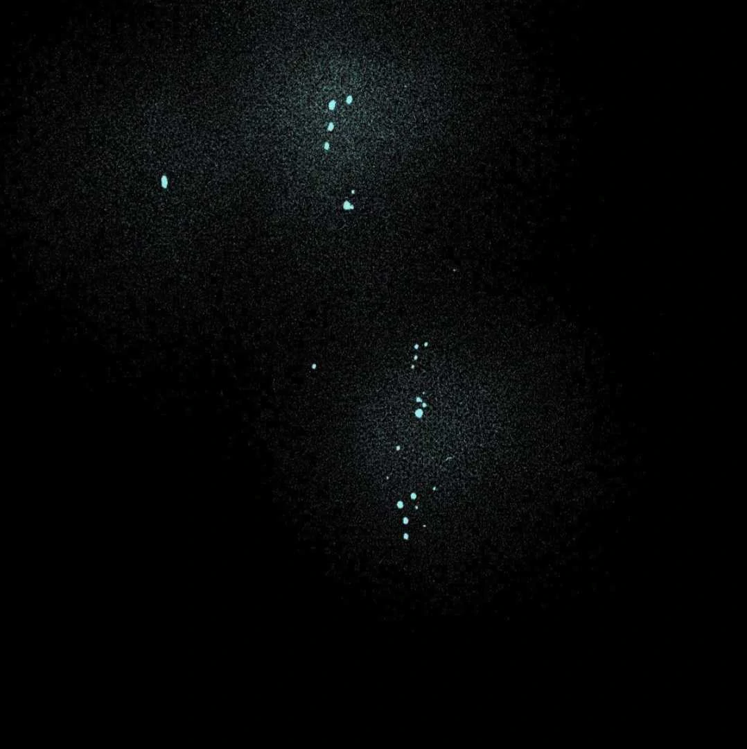 Lian Shi - Chapter 13 manhwa