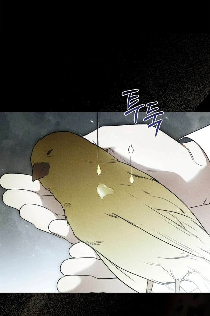 Kiss Me If You Can [Official][Uncensored] - Chapter 23 - S1 manhwa