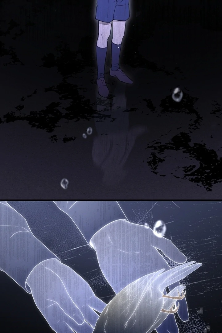 Kiss Me If You Can [Official][Uncensored] - Chapter 23 - S1 manhwa