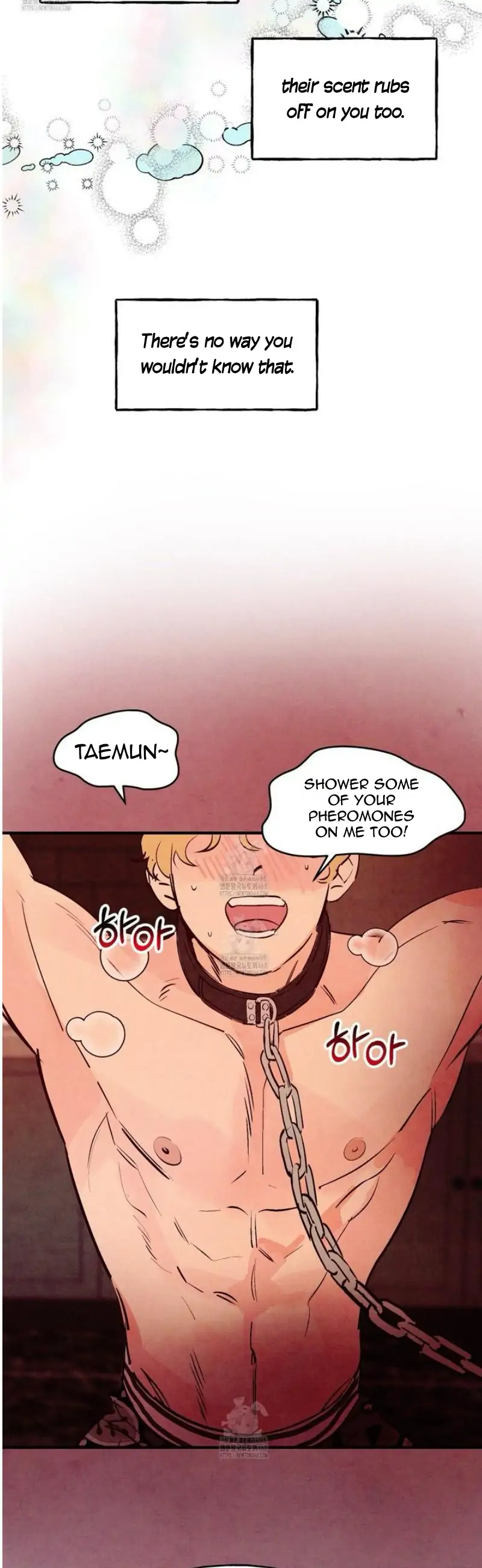 Honey Bear 〘Mature Official〙 - Side story 1 manhwa
