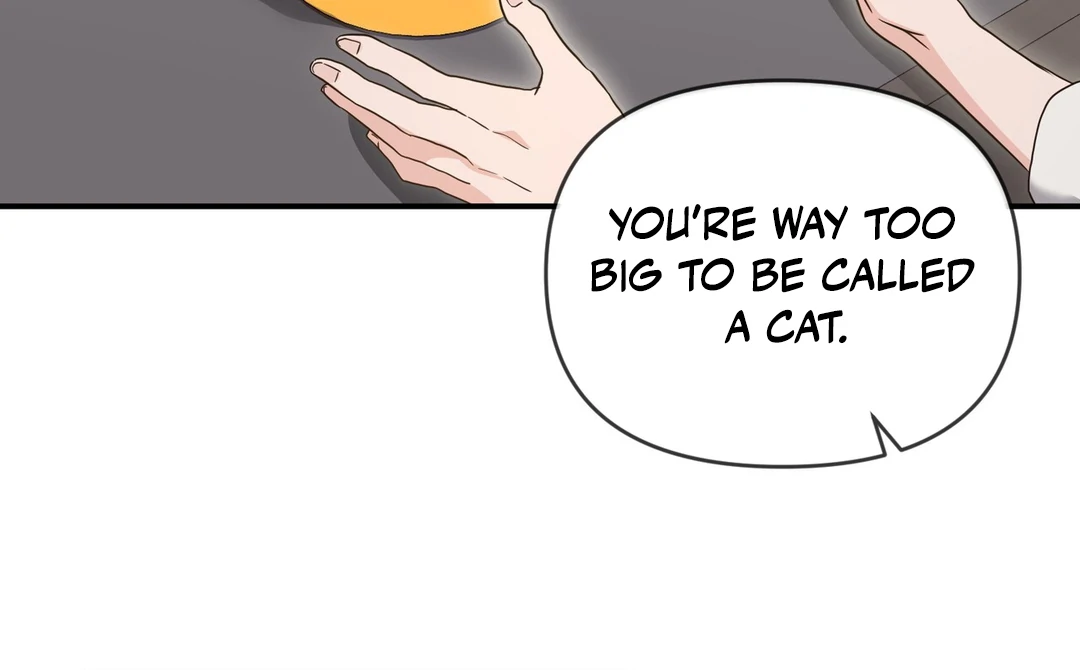 My Alpha Era Began After Eating Gongjin-dan ( paradise scans ) - Chapter 5 manhwa