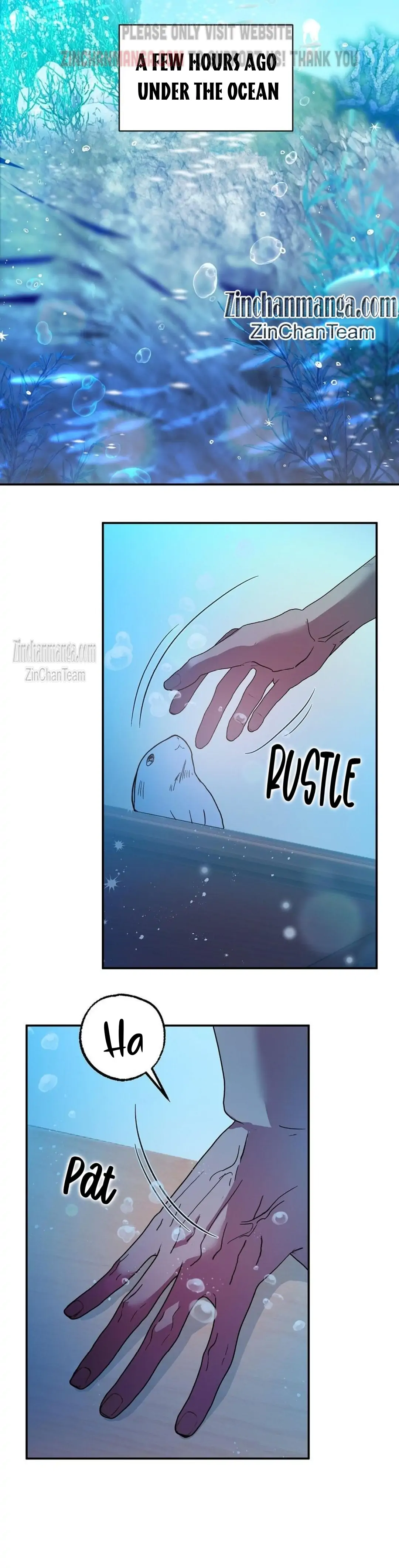 Shark And Bunny Bride [Zinchan] - Chapter 1 manhwa