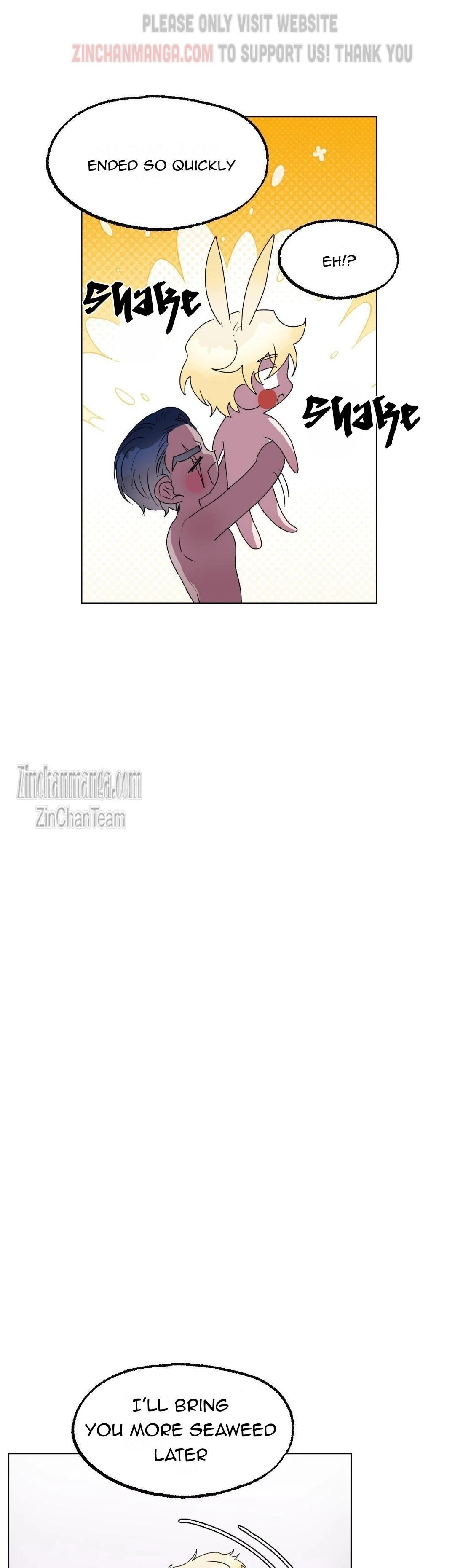 Shark And Bunny Bride [Zinchan] - Chapter 10 manhwa