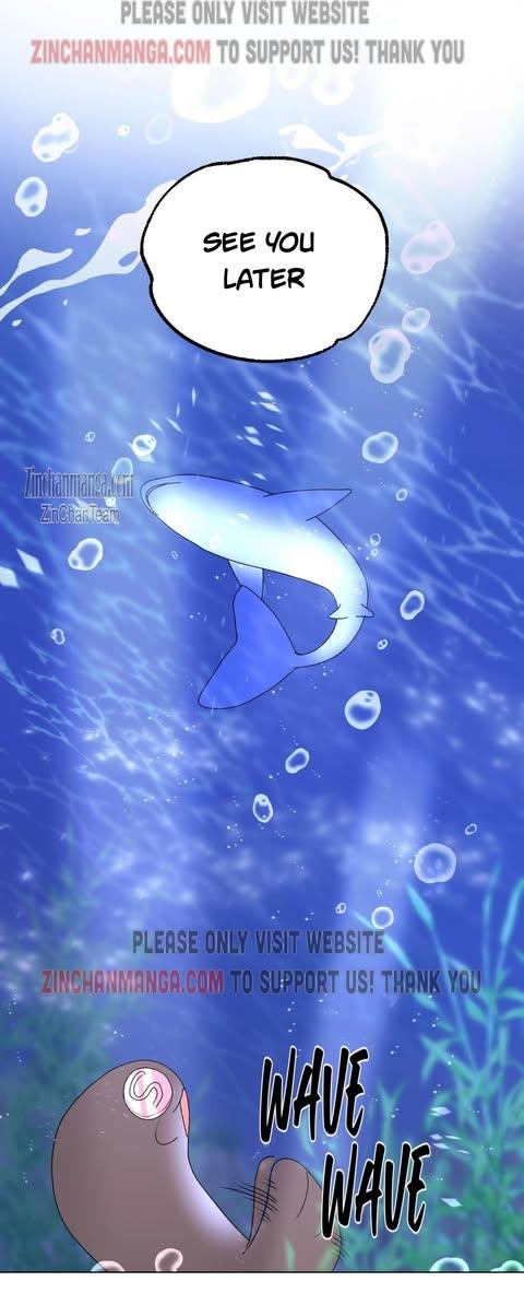 Shark And Bunny Bride [Zinchan] - Chapter 11 manhwa