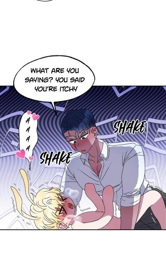 Shark And Bunny Bride [Zinchan] - Chapter 13 manhwa