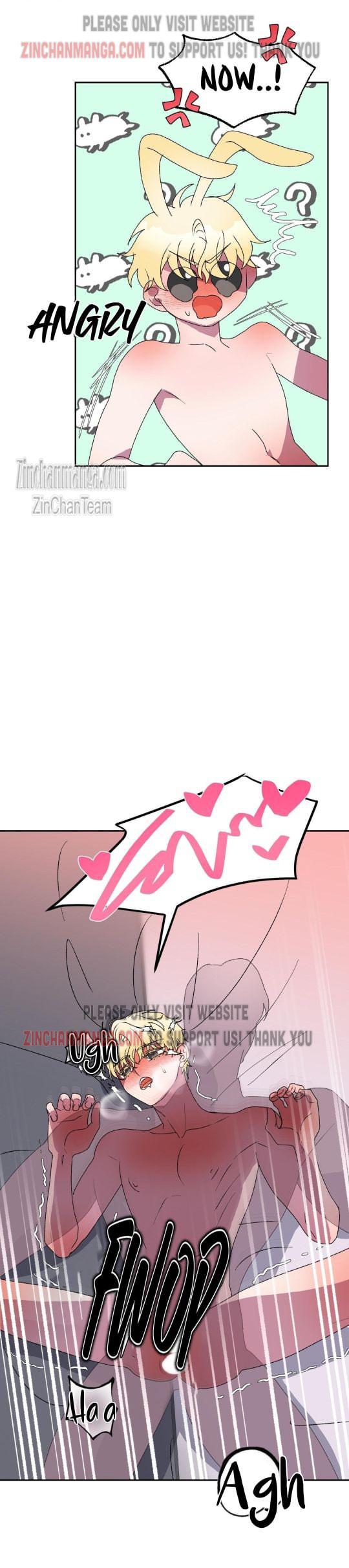 Shark And Bunny Bride [Zinchan] - Chapter 13 manhwa