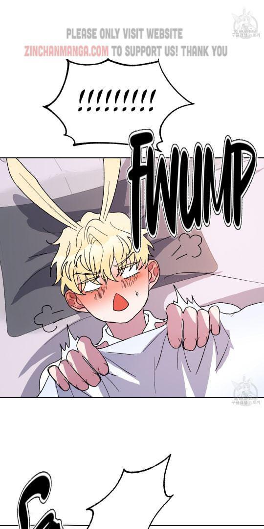 Shark And Bunny Bride [Zinchan] - Chapter 17 manhwa