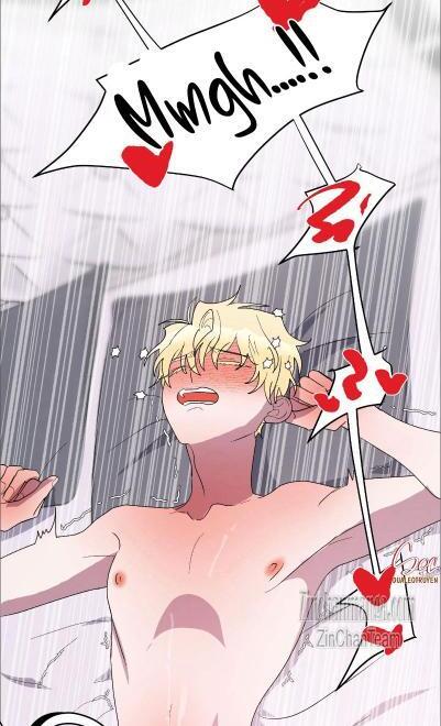 Shark And Bunny Bride [Zinchan] - Chapter 19 manhwa