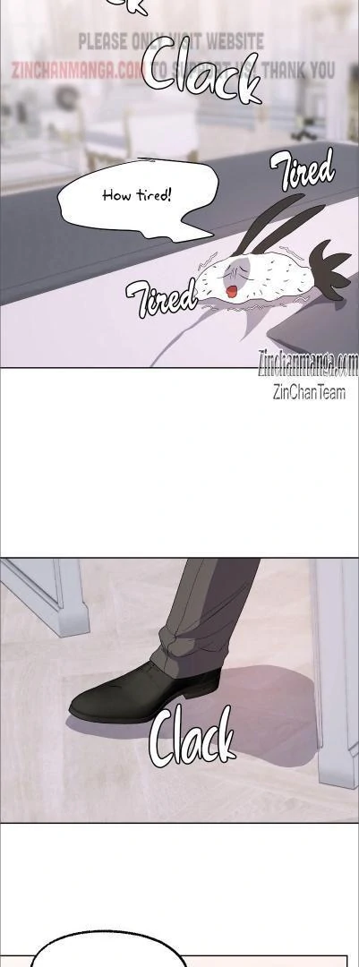 Shark And Bunny Bride [Zinchan] - Chapter 19 manhwa