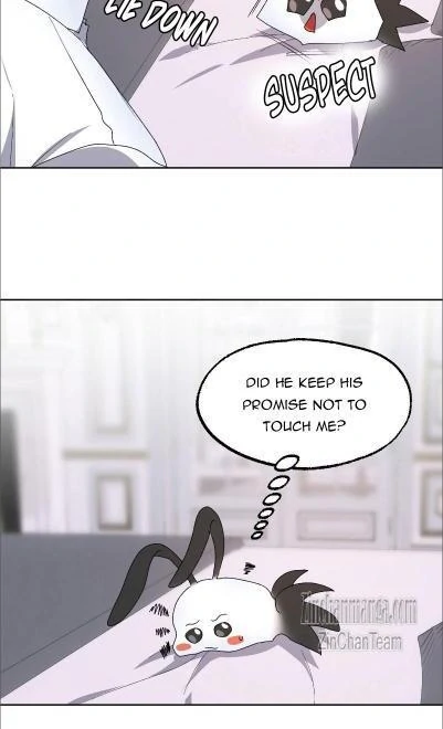 Shark And Bunny Bride [Zinchan] - Chapter 19 manhwa