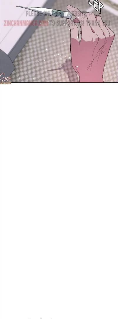 Shark And Bunny Bride [Zinchan] - Chapter 19 manhwa