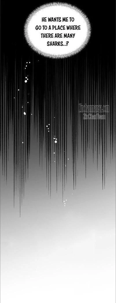 Shark And Bunny Bride [Zinchan] - Chapter 19 manhwa