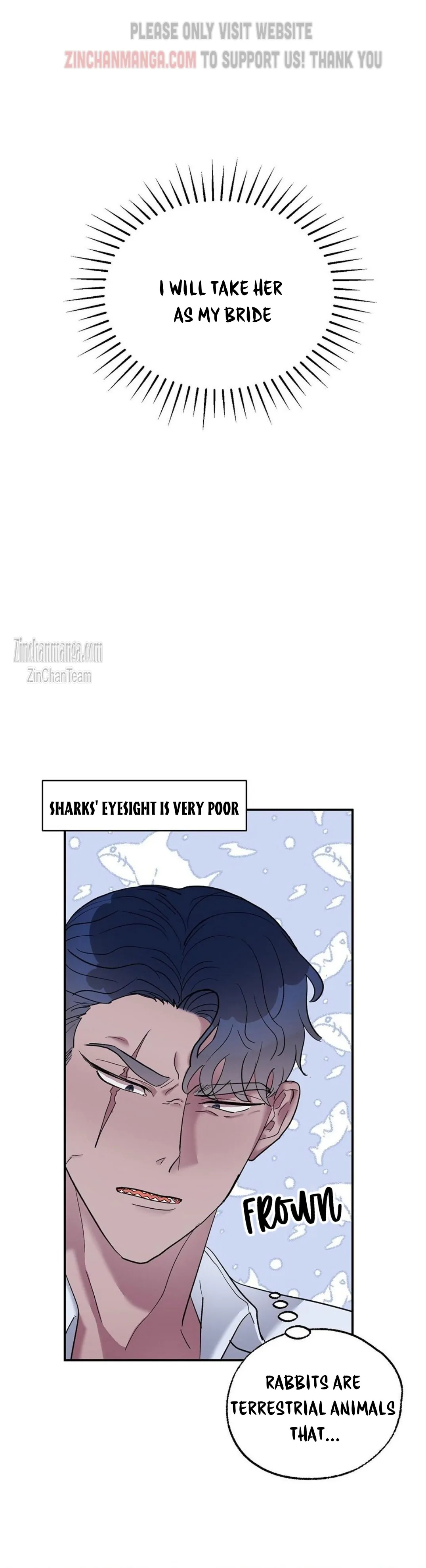 Shark And Bunny Bride [Zinchan] - Chapter 2 manhwa