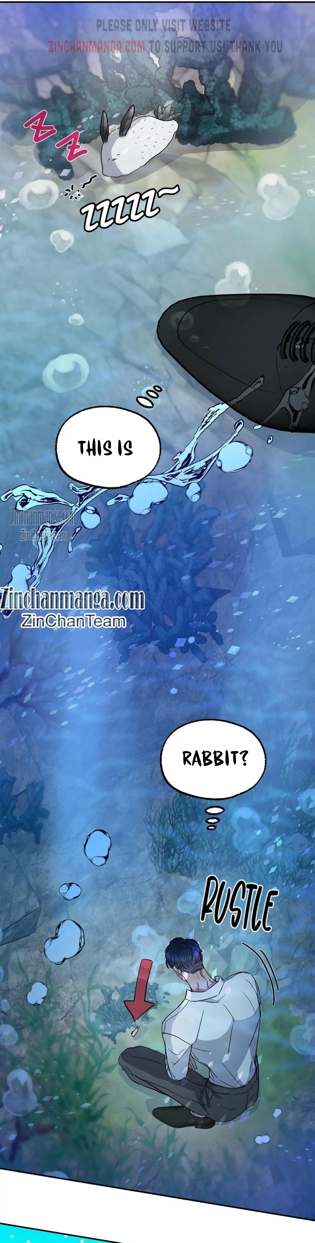Shark And Bunny Bride [Zinchan] - Chapter 2 manhwa