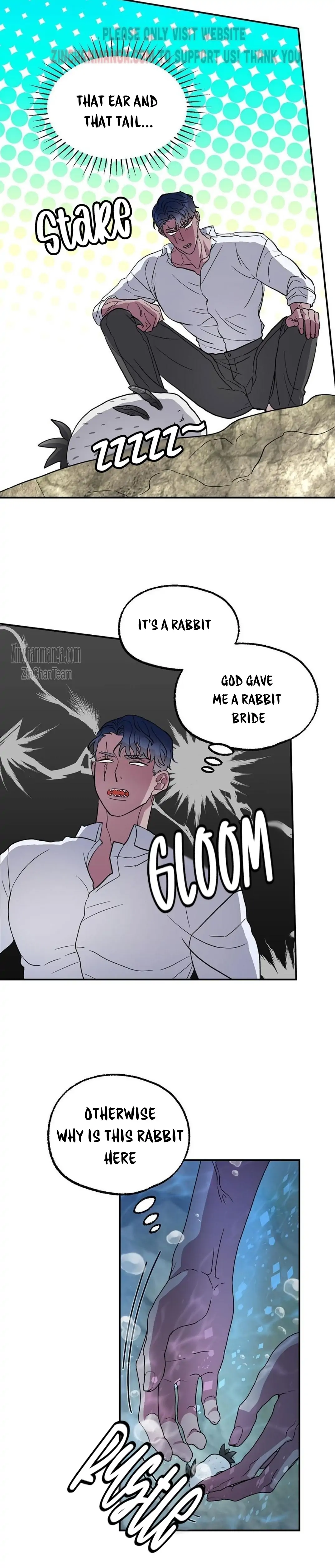 Shark And Bunny Bride [Zinchan] - Chapter 2 manhwa