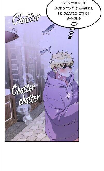 Shark And Bunny Bride [Zinchan] - Chapter 20 manhwa